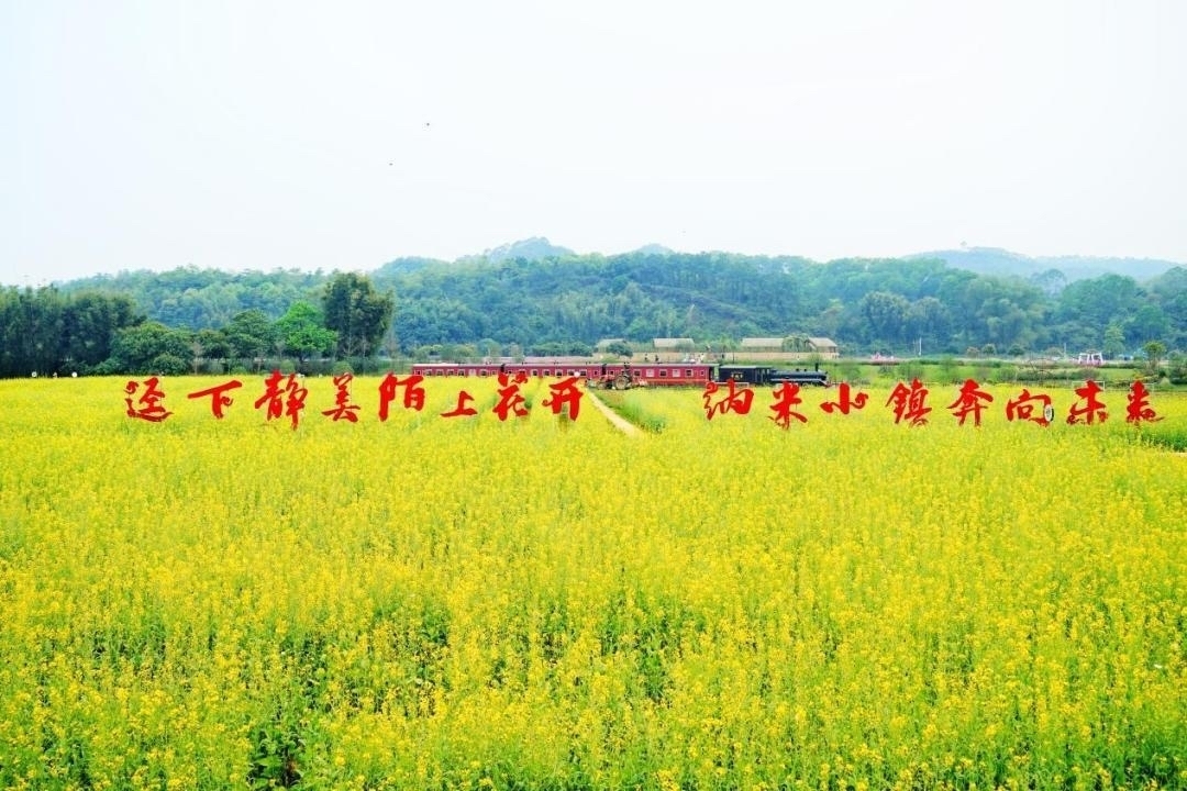 6481484a0aca3321980d3bd43270f5e8_content.jpg 6481484a0aca3321980d3bd43270f5e8_content.jpg