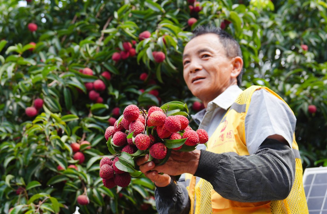 0b4425d30609886a09c87620825218d.png 0b4425d30609886a09c87620825218d.png