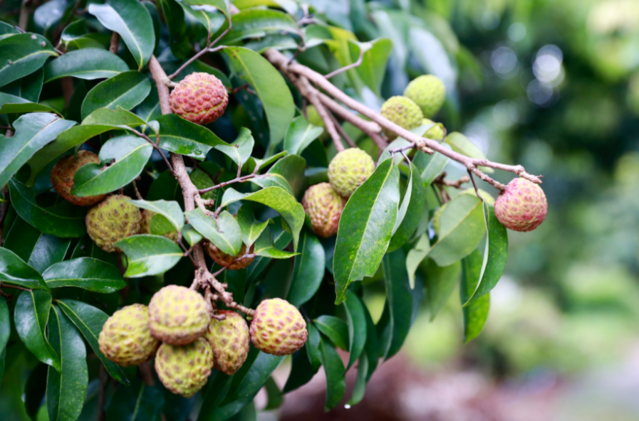 7e40832e6afa9c8a656f47b960ad494.png 7e40832e6afa9c8a656f47b960ad494.png