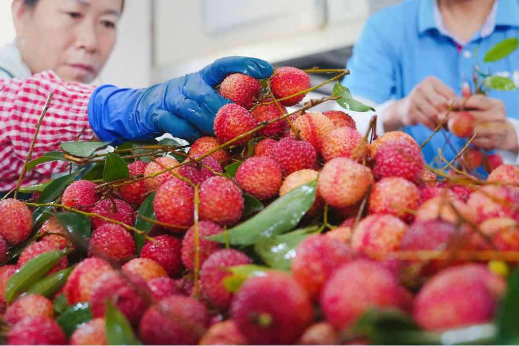 55fa3c045b0bab27ce3a17d508ce375.png 55fa3c045b0bab27ce3a17d508ce375.png