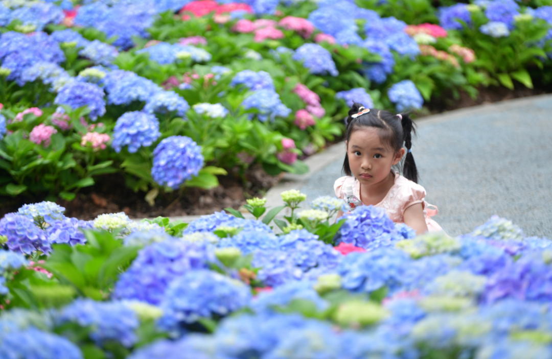 微信图片_20250602172616