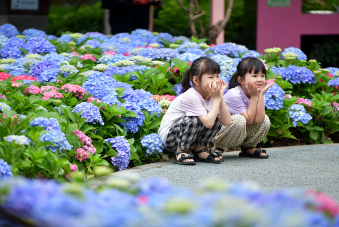 微信图片_20250602172643