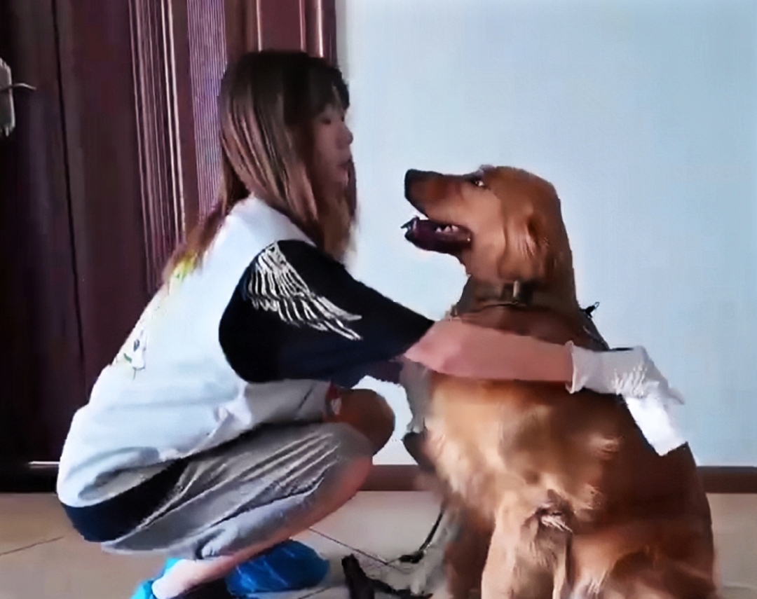 微信图片_20250603162442