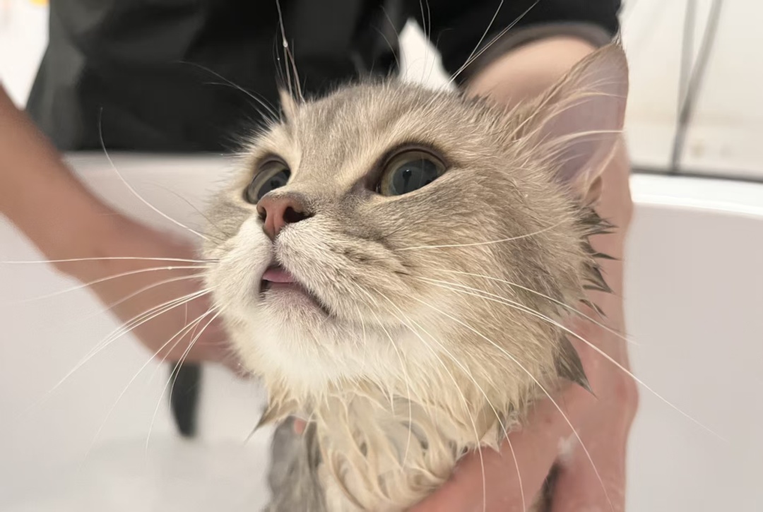 微信图片_20250603162432