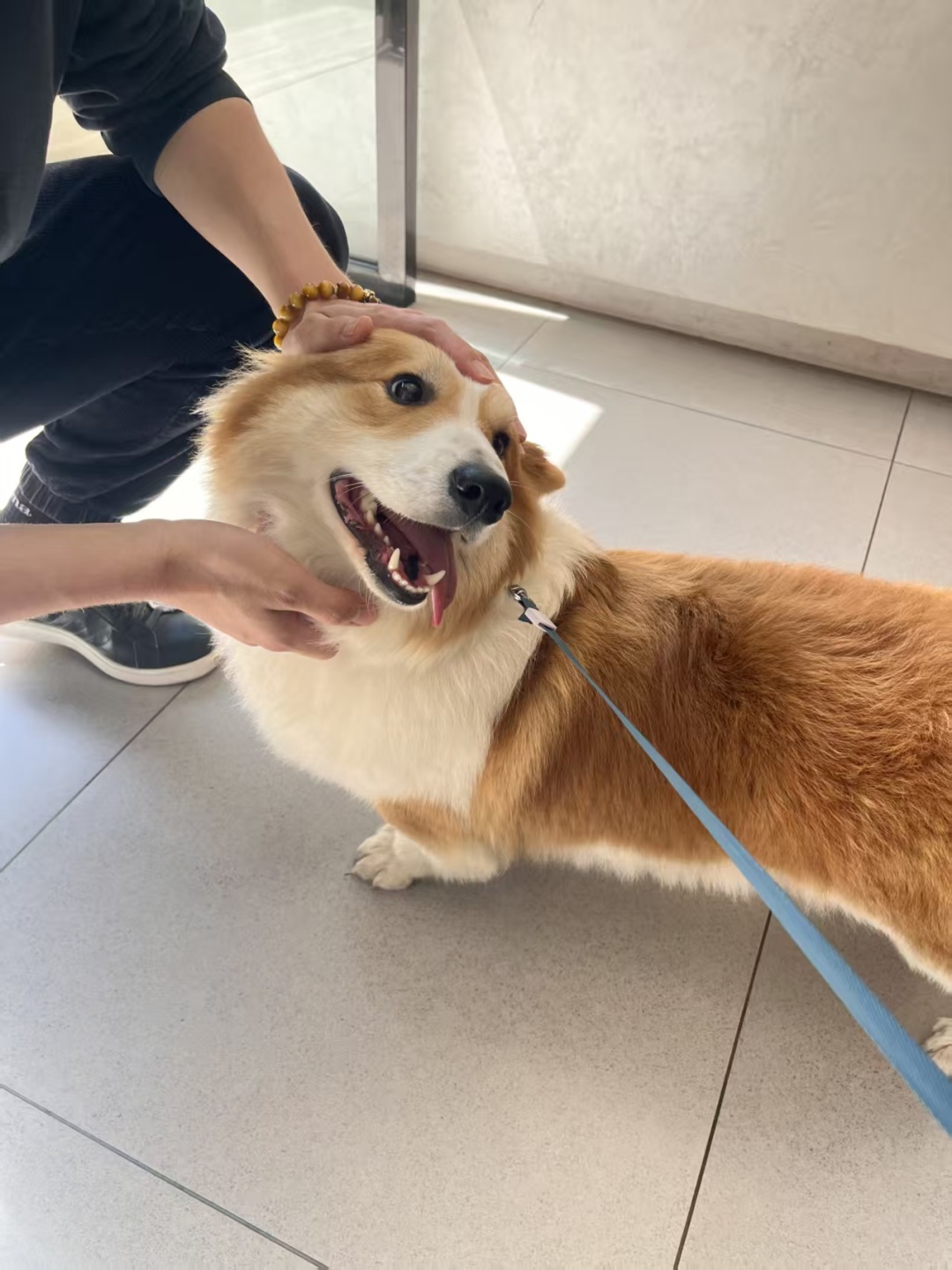 微信图片_20250603162439