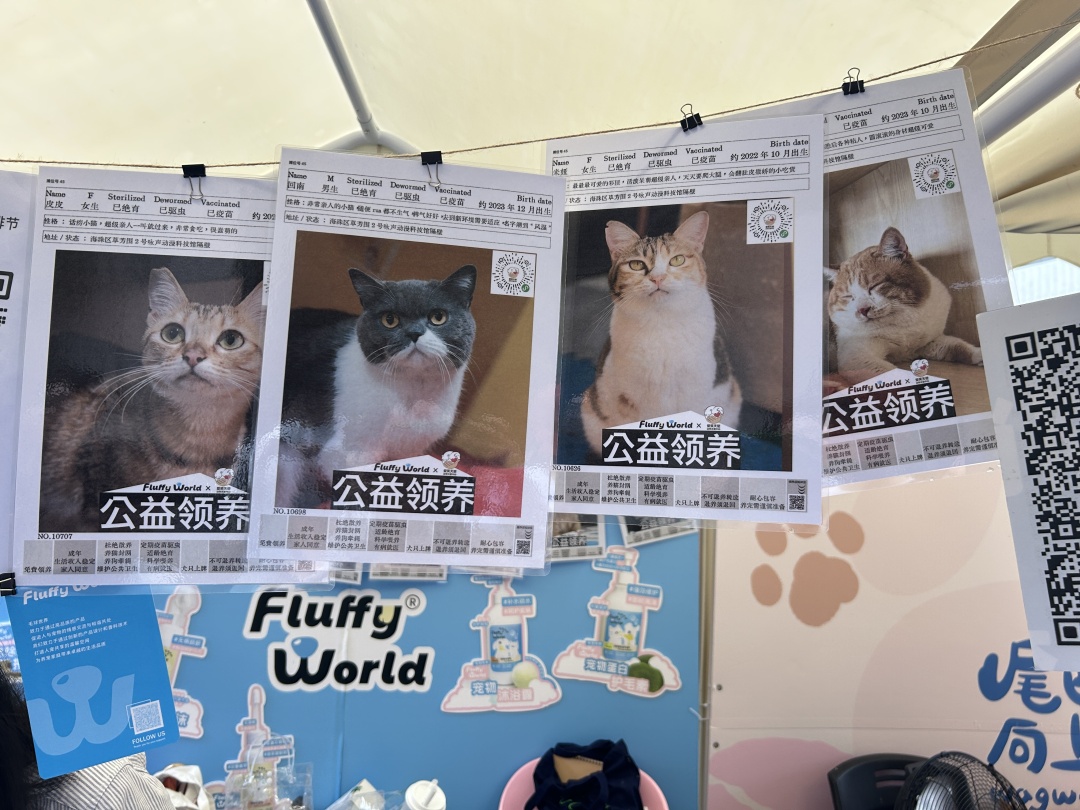 天环广场市集活动上的“宠物领养卡”