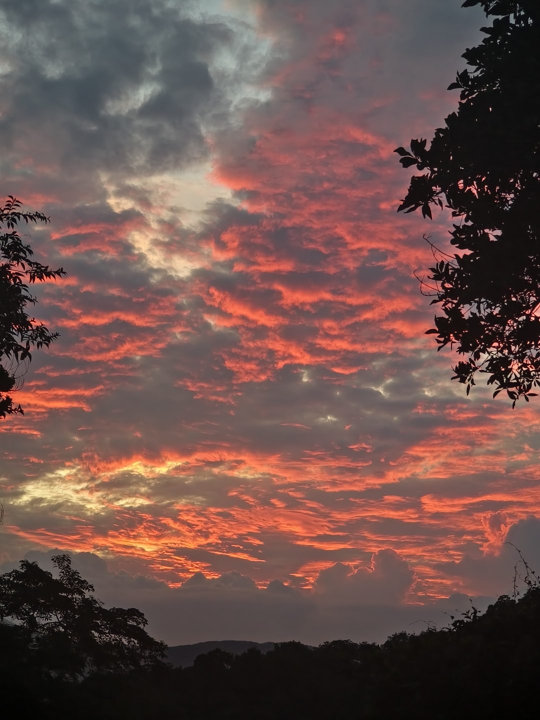 微信图片_20250604161913