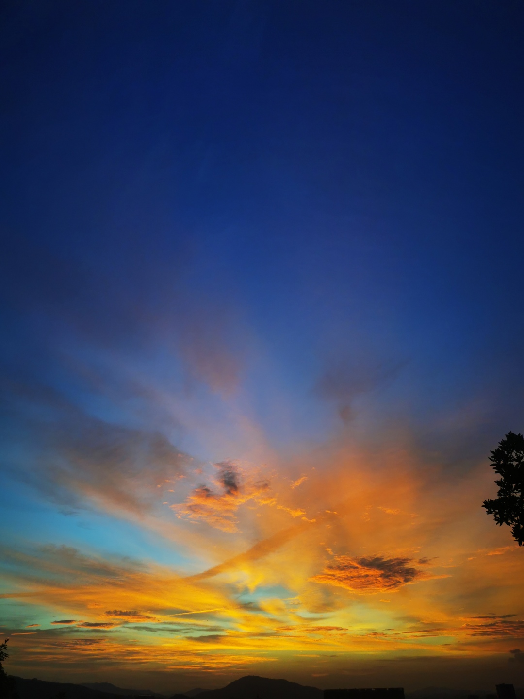 微信图片_20250604161924