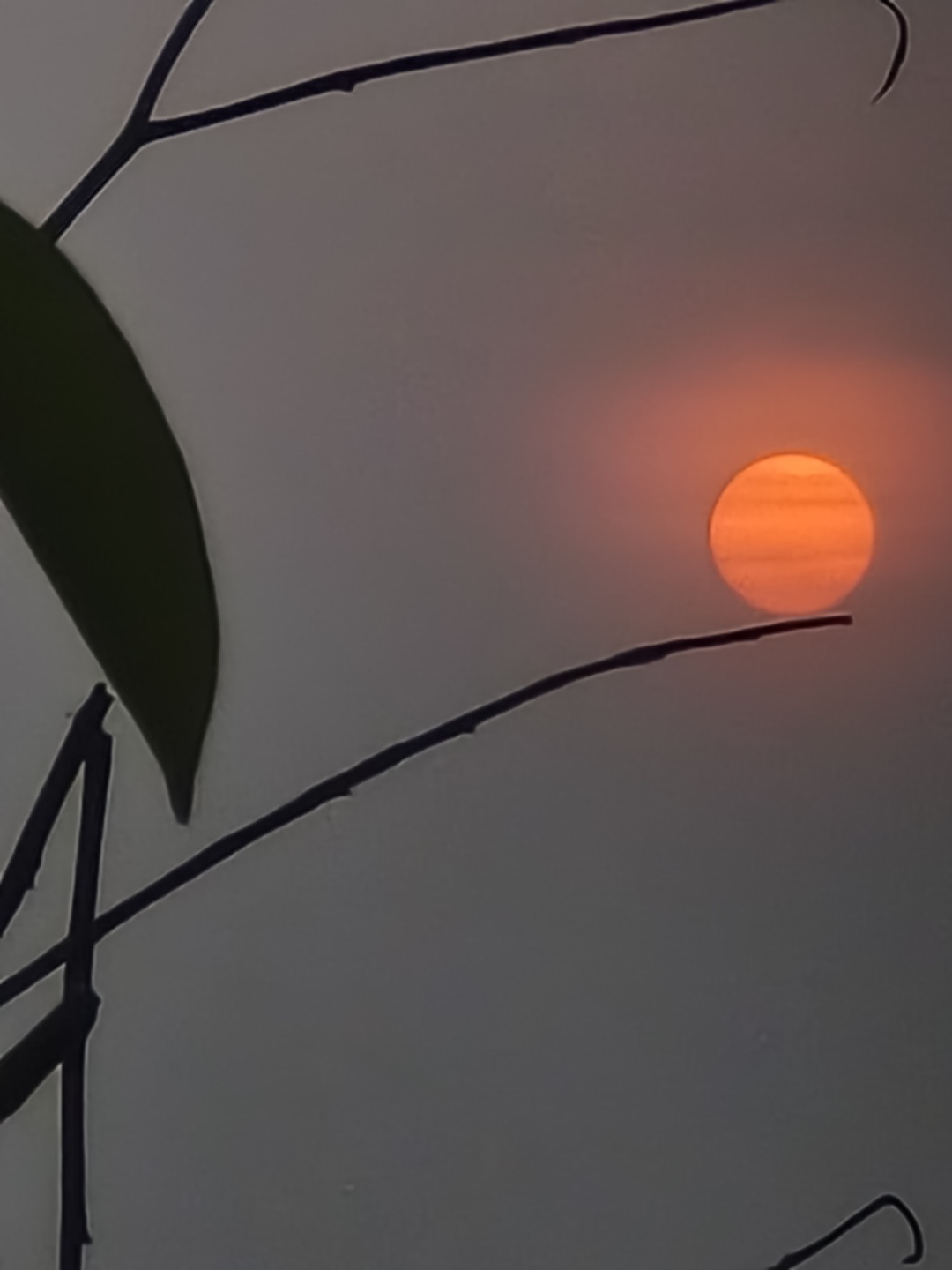 微信图片_20250604161928