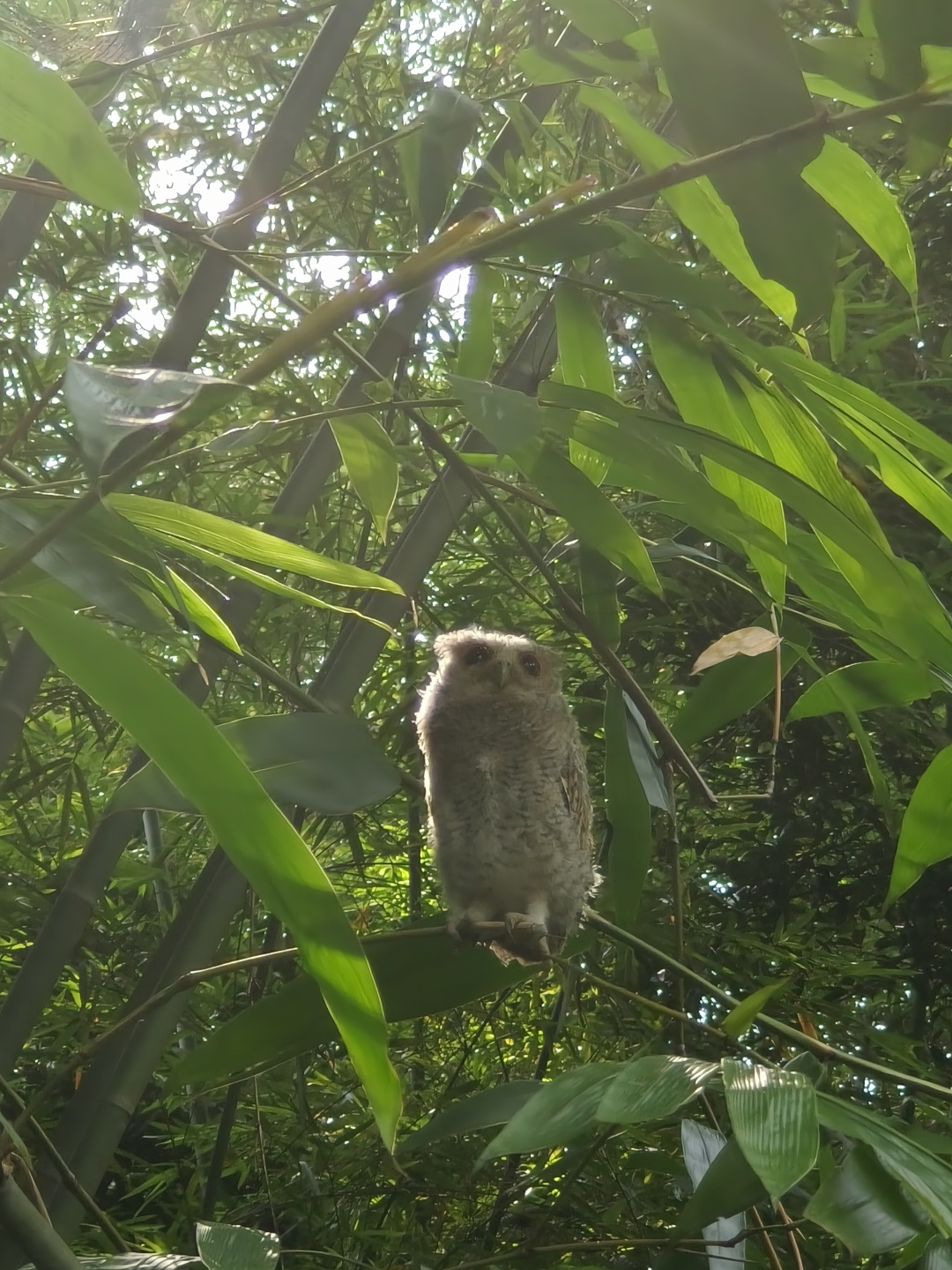 微信图片_20250604161920