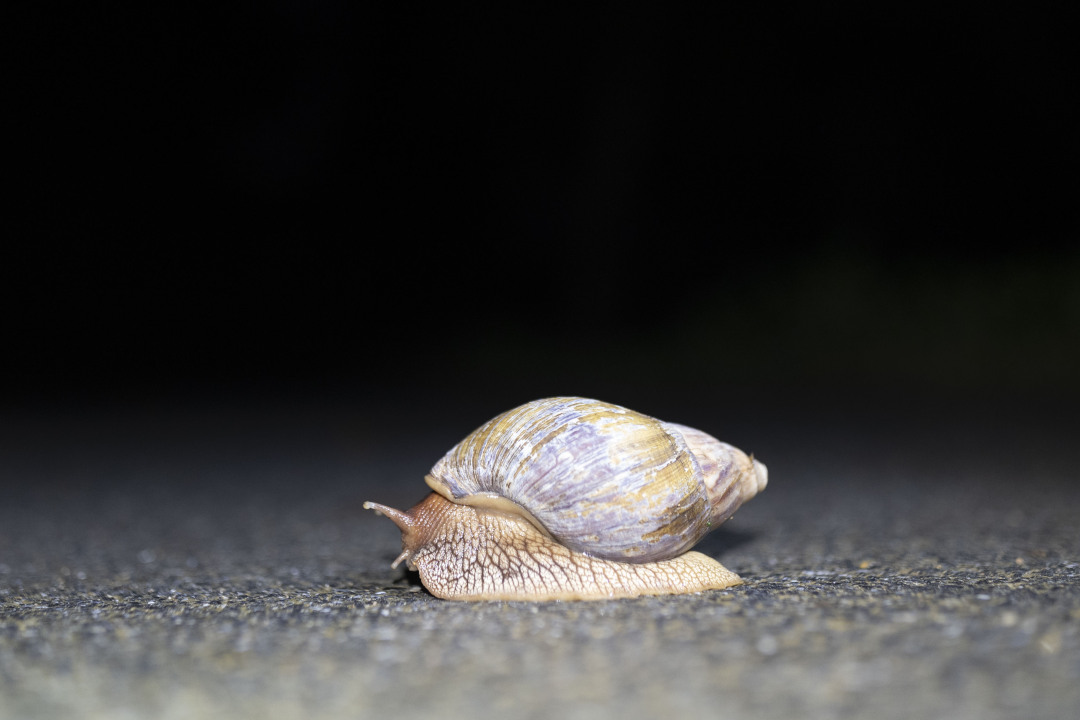 微信图片_20250605111619