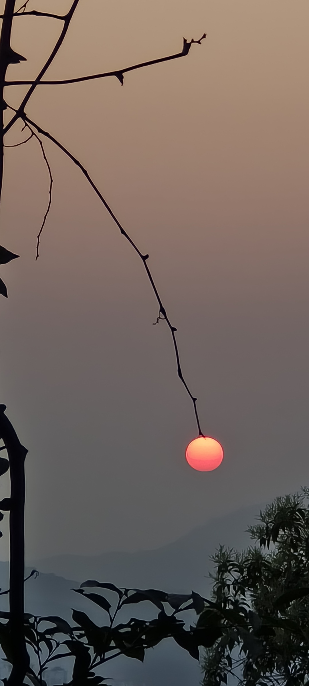 微信图片_20250604161932