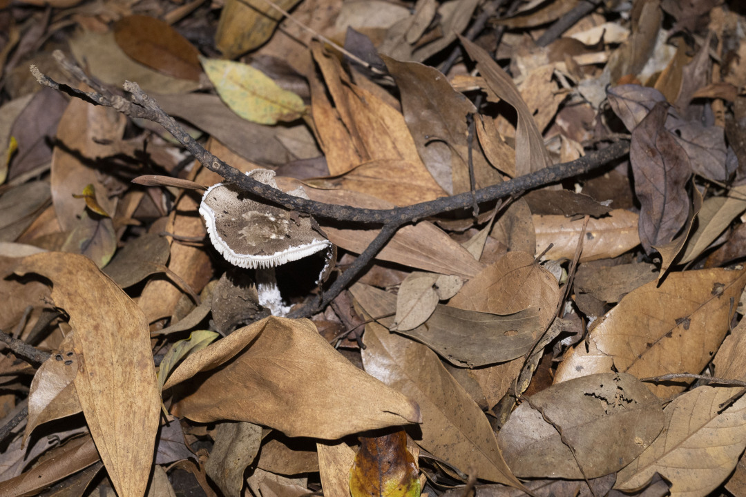 微信图片_20250605111707