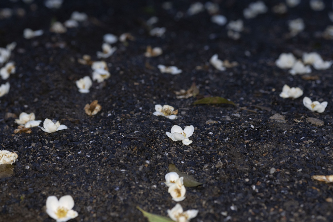 微信图片_20250605111811