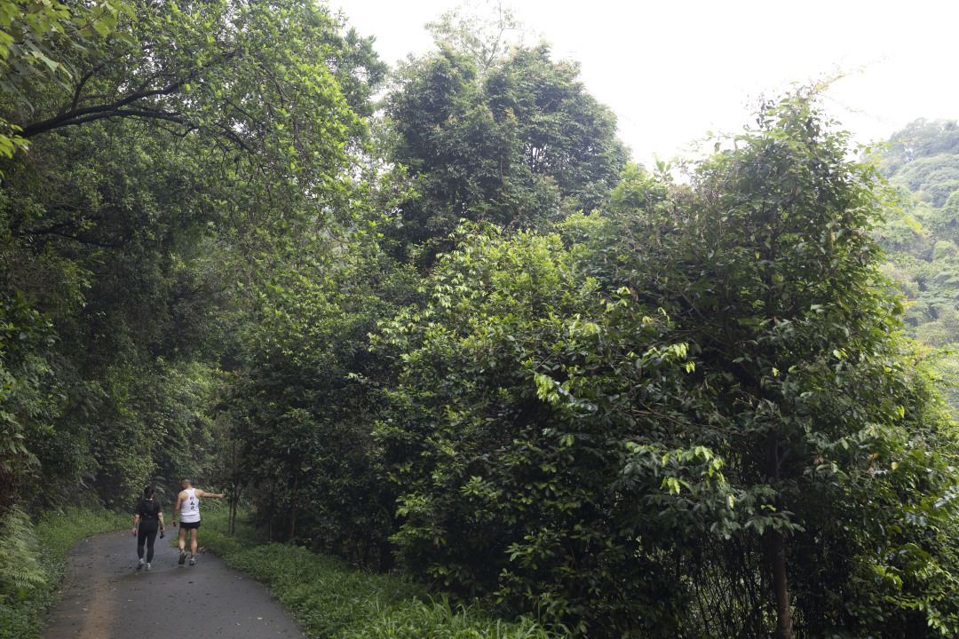 微信图片_20250605111856