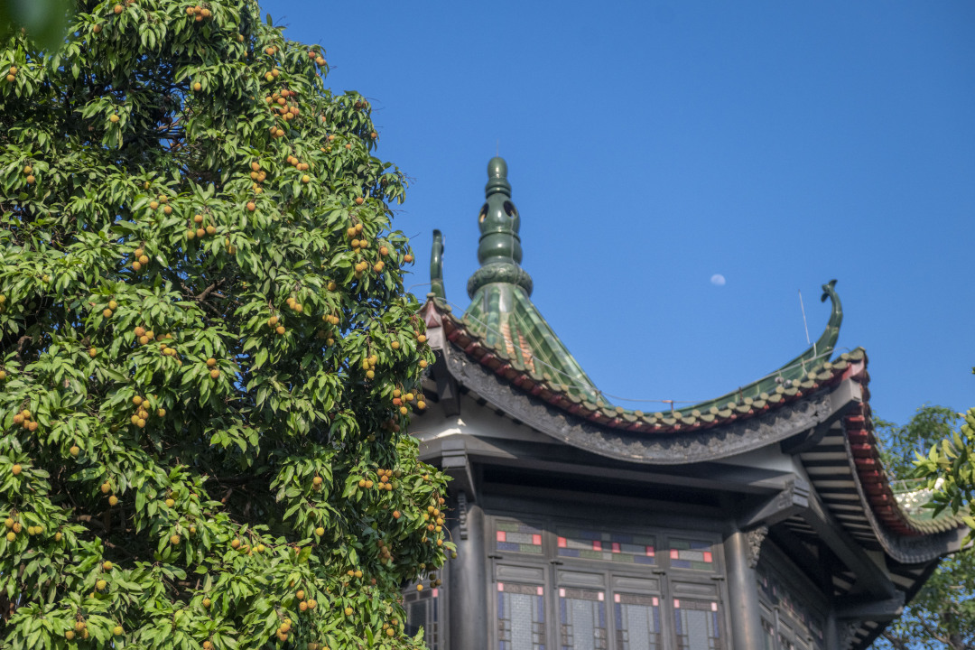 廖雪明-lxm2506063 (12)-NEP1_20250607_C00413945915