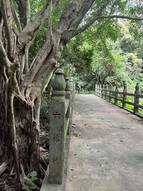 image3 (1)_副本.jpg