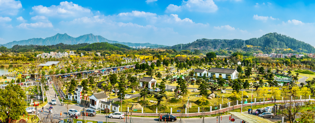 《醉美竹洞村》周洁萍（竹洞村）.jpg