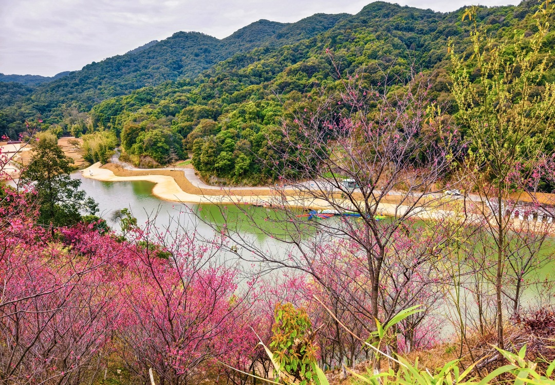 邱泳枝+青山绿水花盛开+15218826182+七溪地.jpg