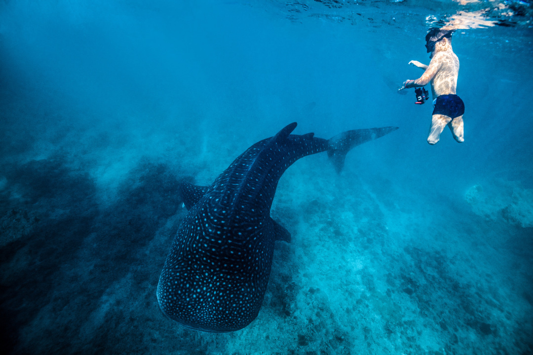 _2025_6_zhouwl120256111930139514448