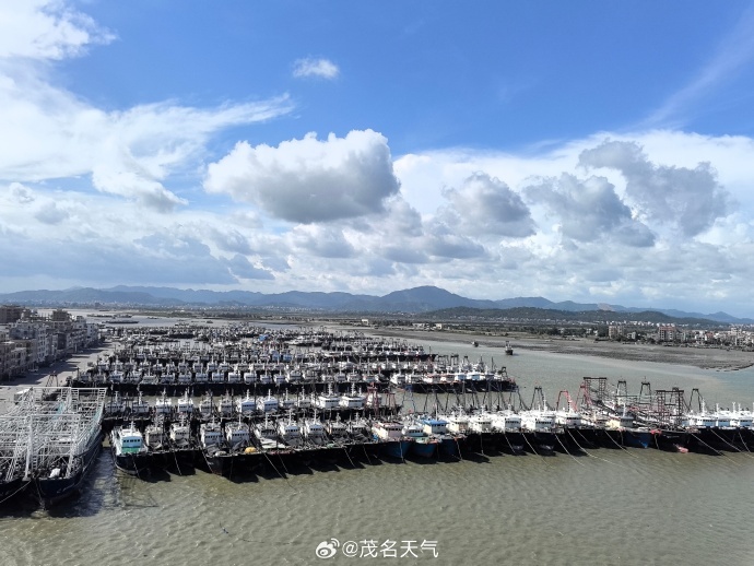 11日,茂名市电白博贺港渔船收到气象部门台风预警信息,有序在港避风