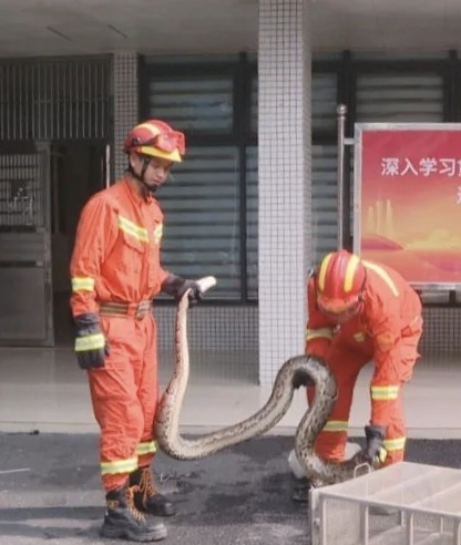 _2025_6_shizq20256131058109519614