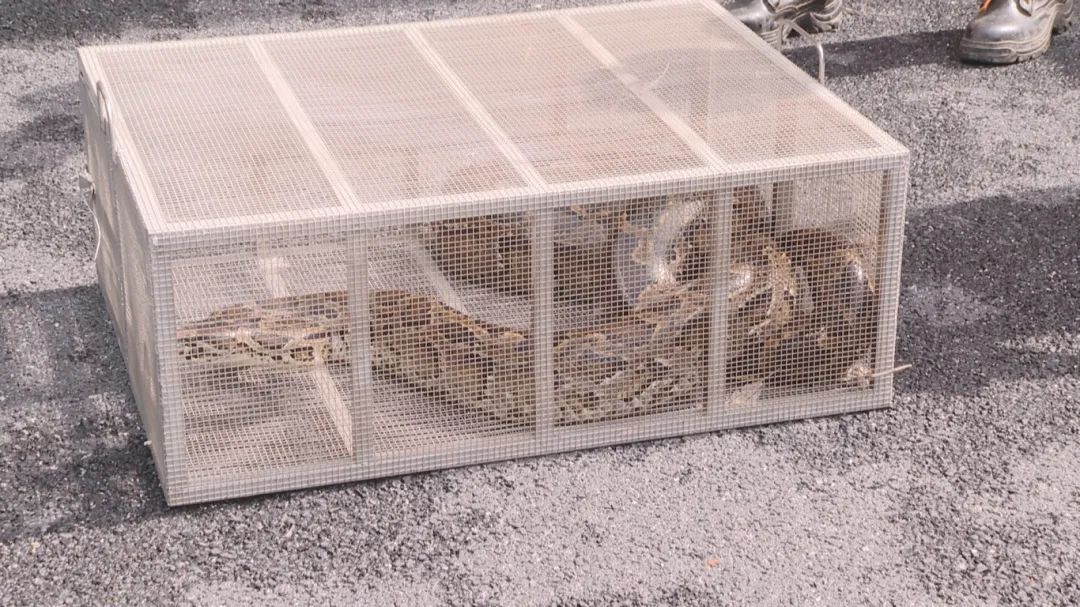 _2025_6_shizq20256131058109519615