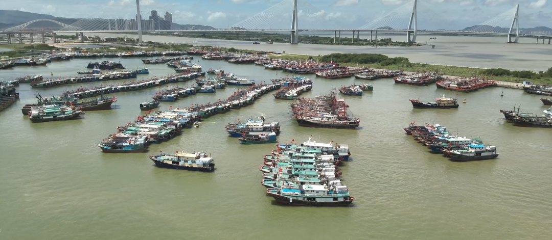 _2025_6_liyan20256131818299521100