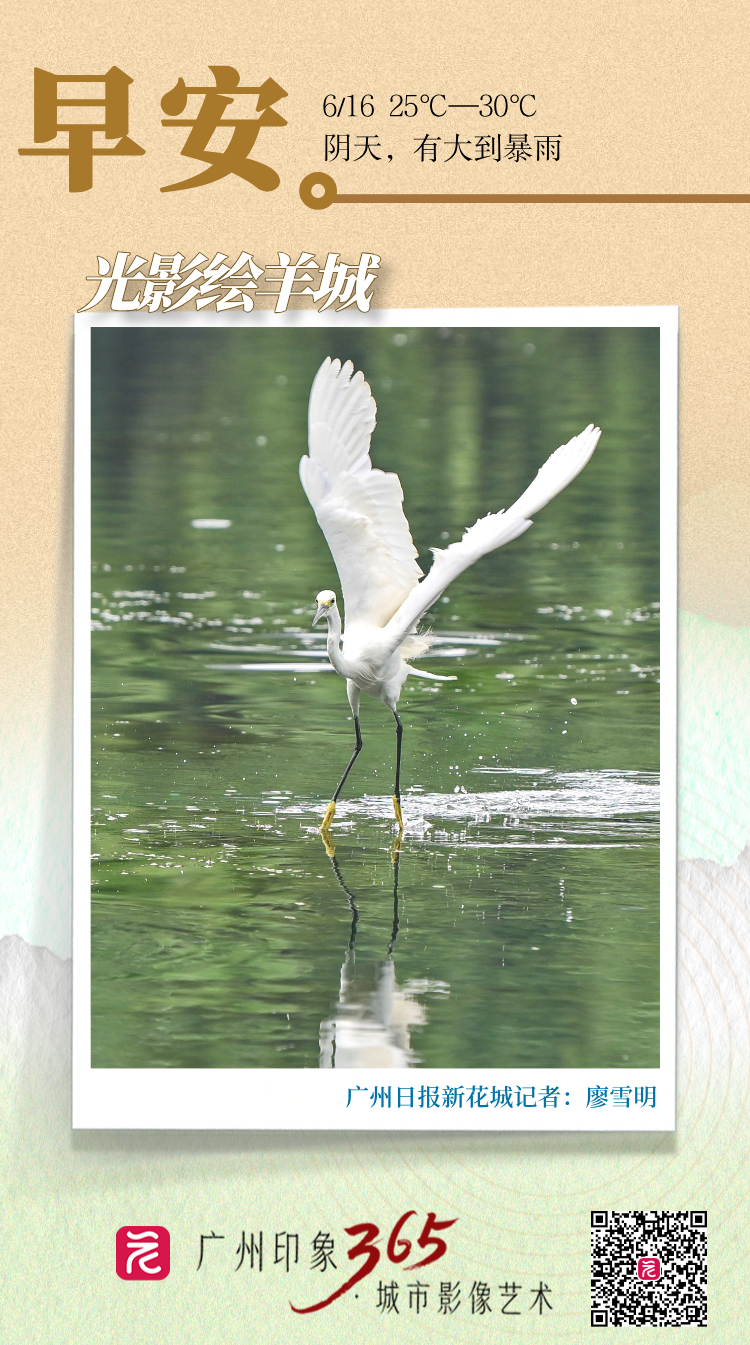 微信图片_2025-06-15_204830_519