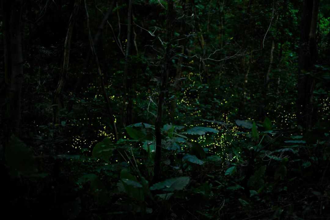 30bd196fb6175c415b05ae50b9e688