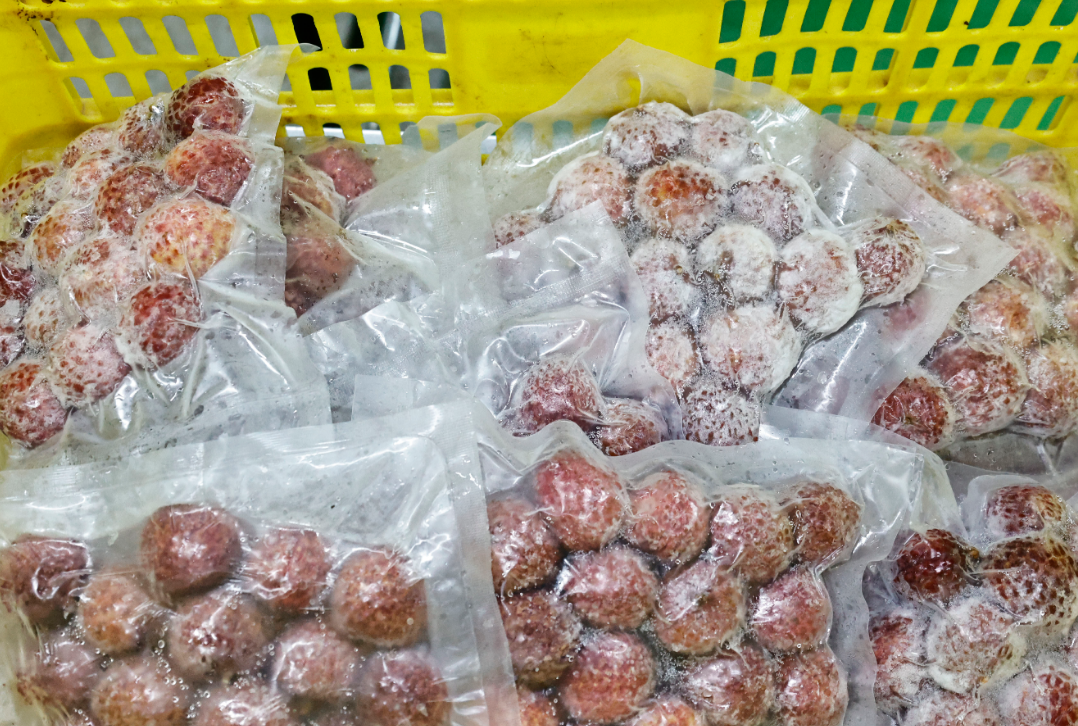 微信图片_20250616190259