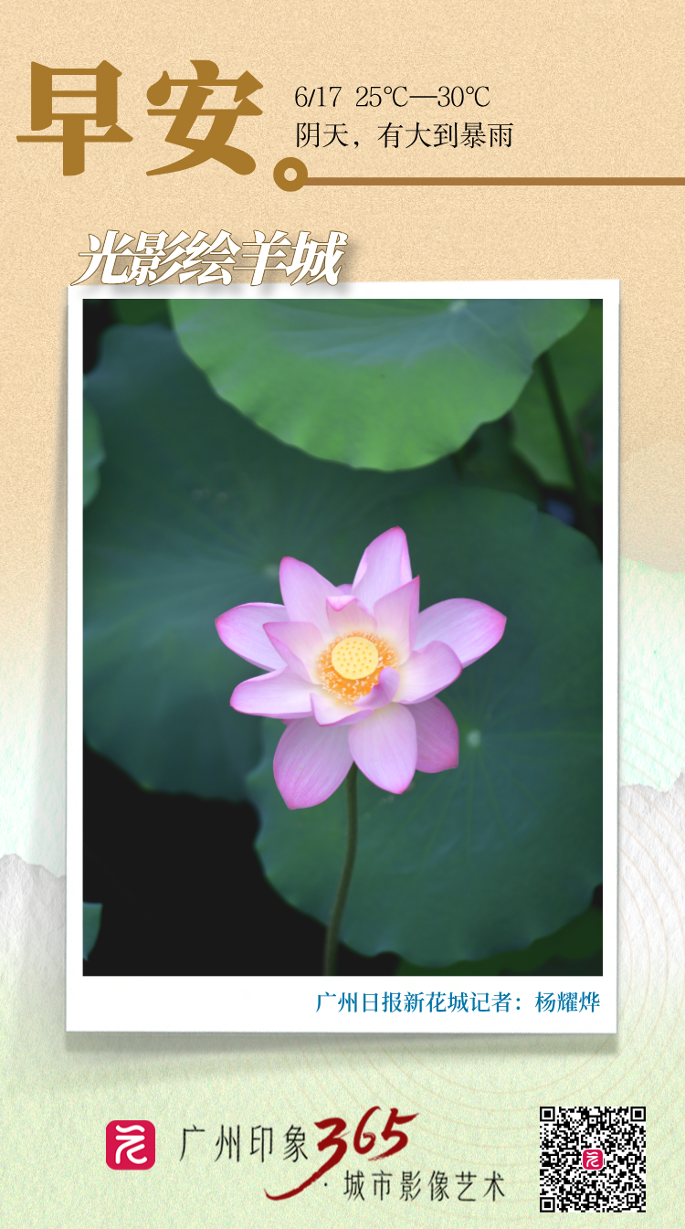 5f43d3345740893294869a6af06ea58.png 5f43d3345740893294869a6af06ea58.png