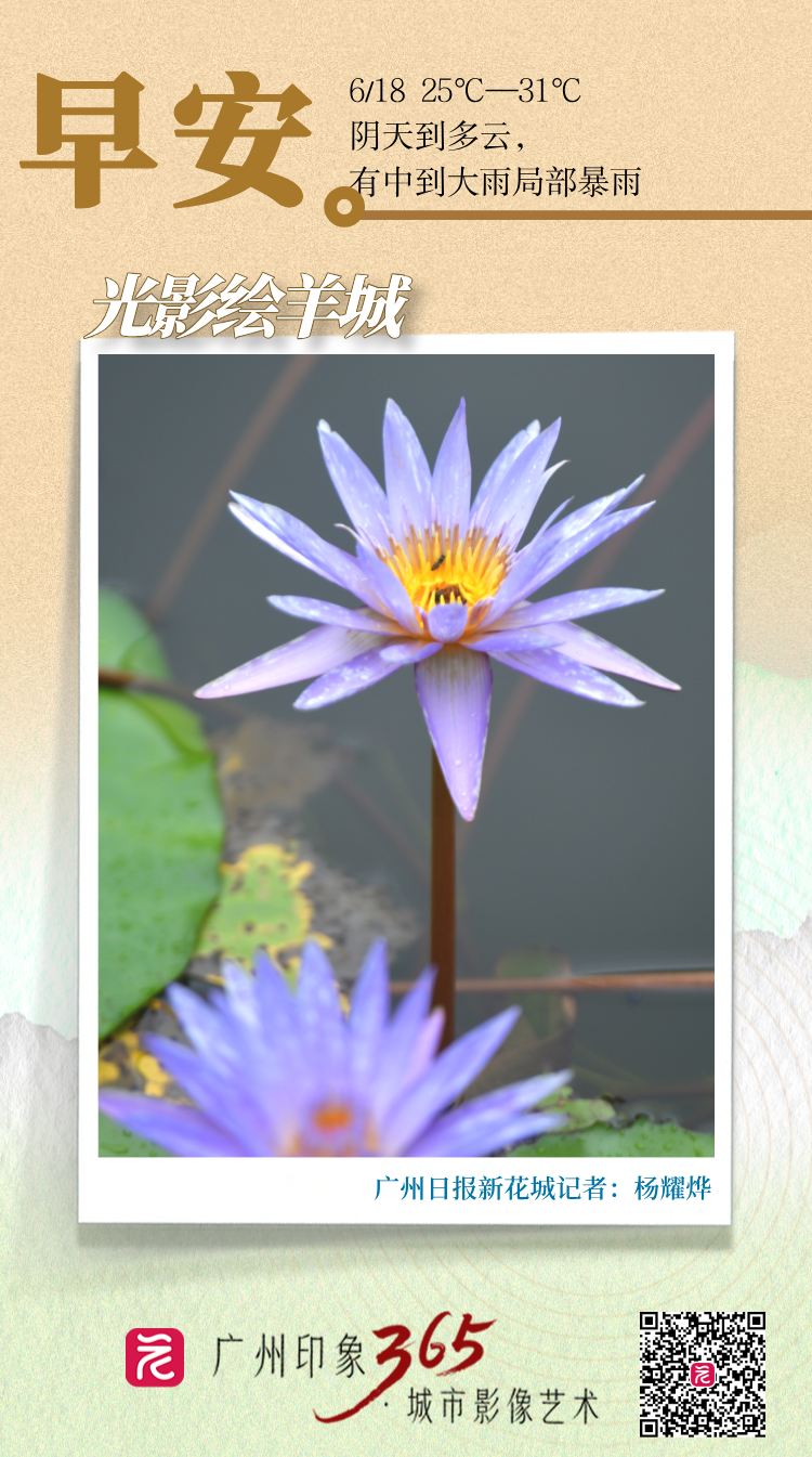 微信图片_20250617193437