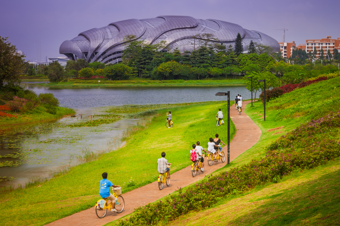 周末很多市民到大学城中心湖郊游