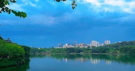 微信截图_20240701210950