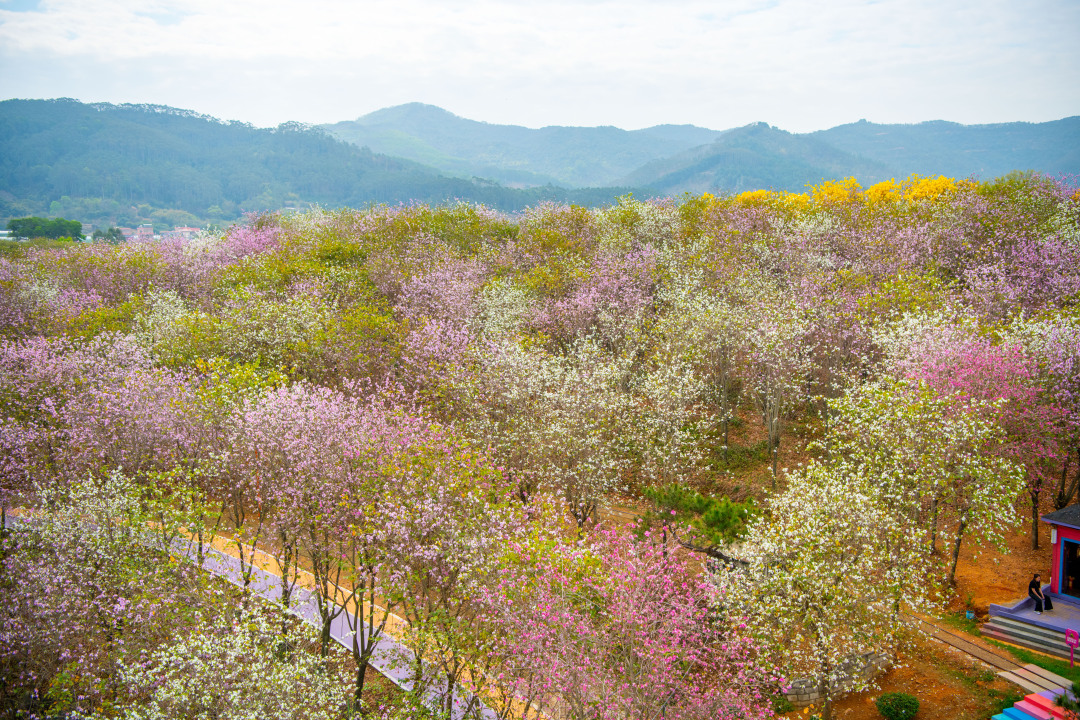 微信图片_20250319185528