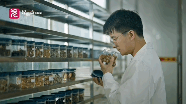 Jun-17-2025 21-02-27.gif Jun-17-2025 21-02-27.gif