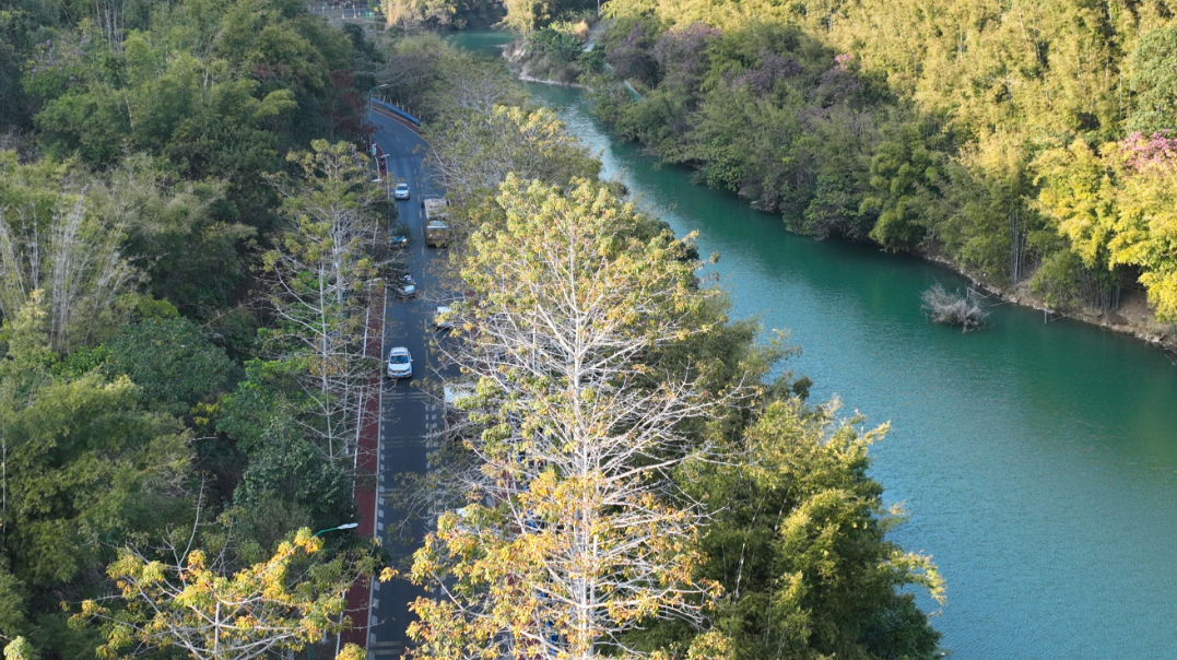 b2c8546dedc675d10404ee7db7fef2f.png b2c8546dedc675d10404ee7db7fef2f.png