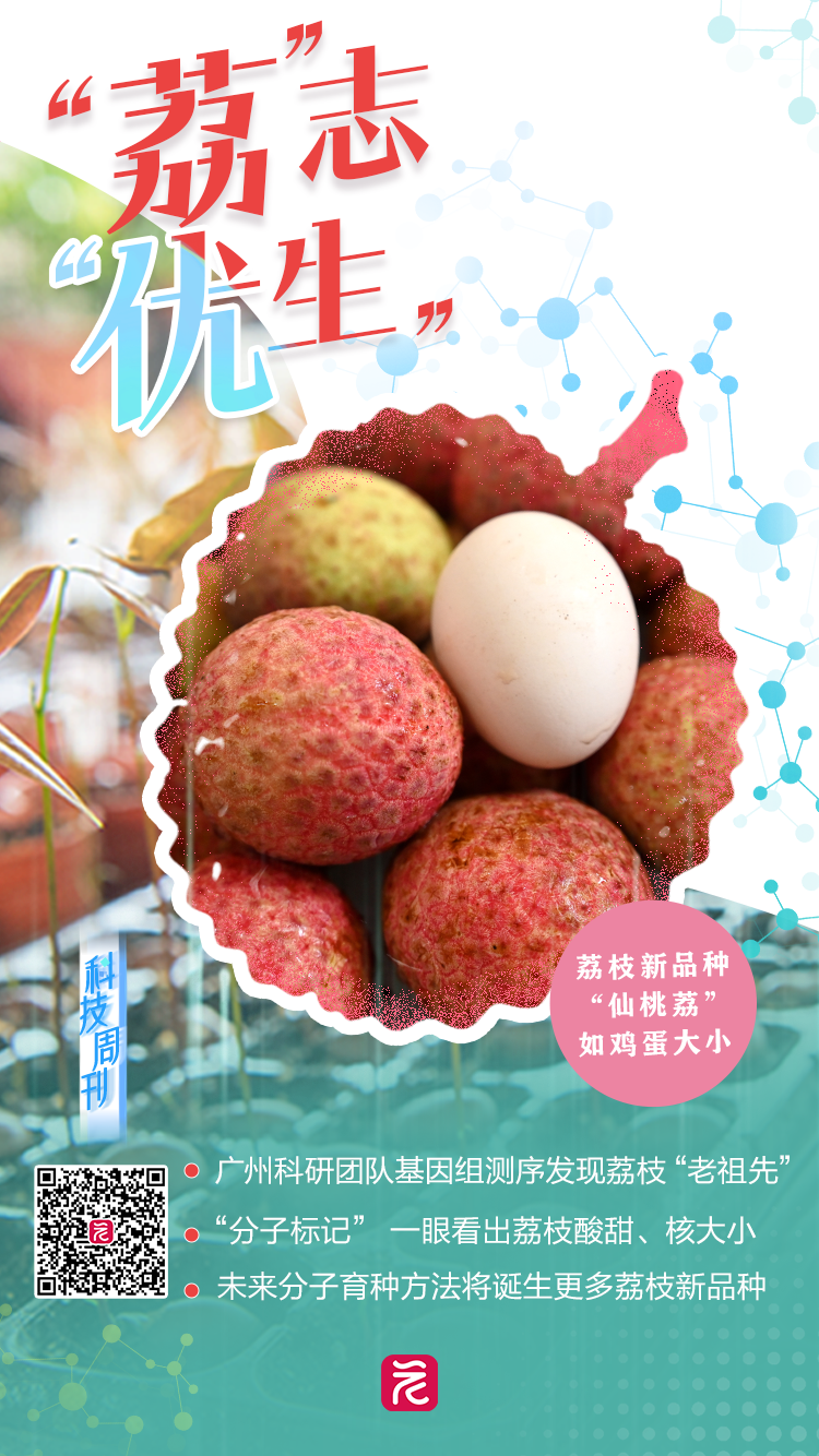 143fdea2c6a548c857de56843f6edf3.png 143fdea2c6a548c857de56843f6edf3.png