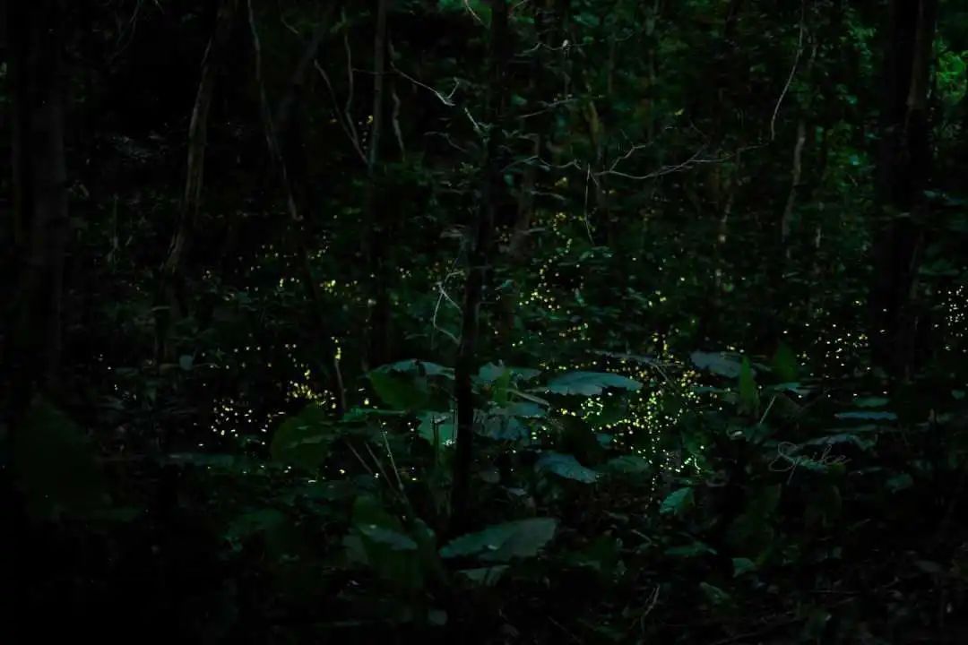 30bd196fb6175c415b05ae50b9e688 图片