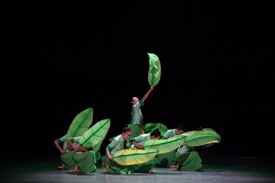 图片5.jpg 图片5.jpg