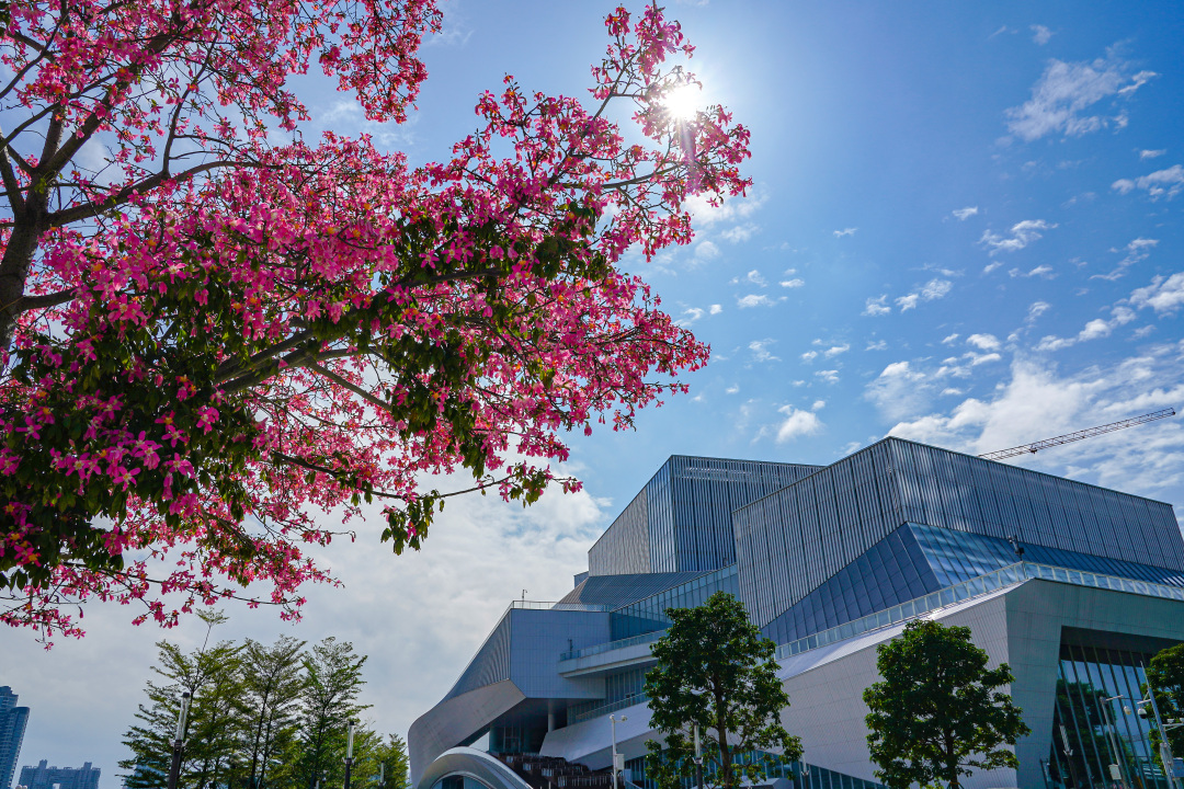 吴子良-WZL06695-NEP1_20241115_C00412926525