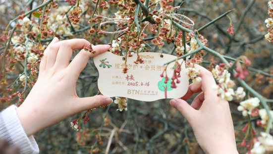 1750751460902.png 1750751460902.png