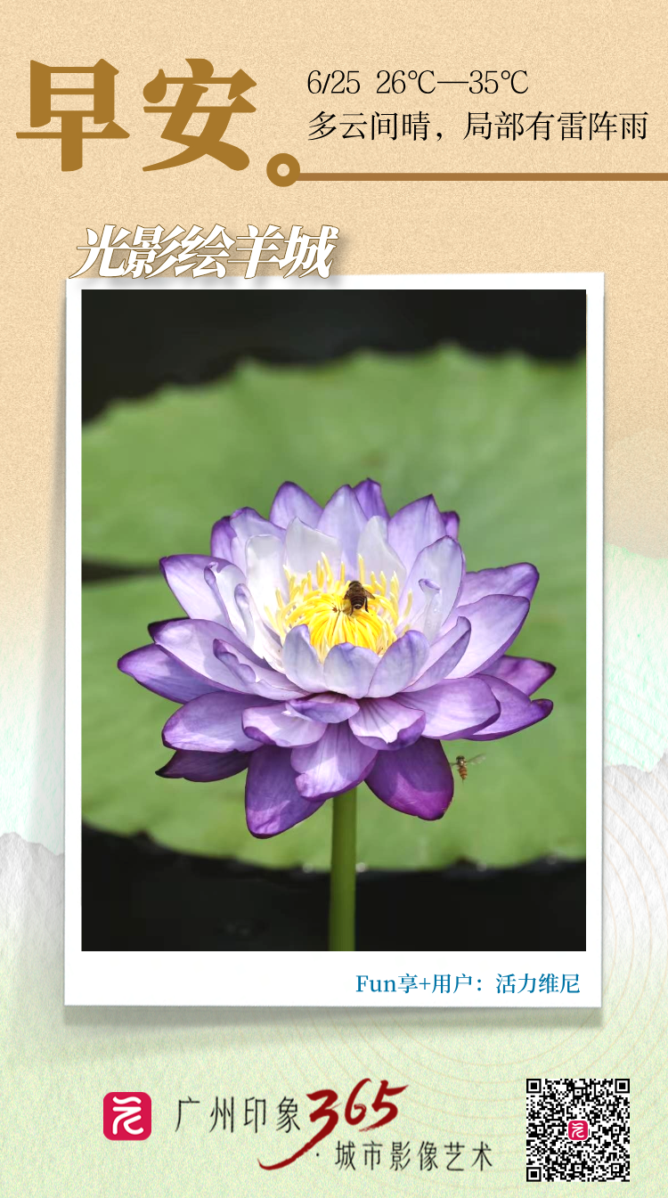 69685783a6fe23c579a2b16a1acdbd1.png 69685783a6fe23c579a2b16a1acdbd1.png