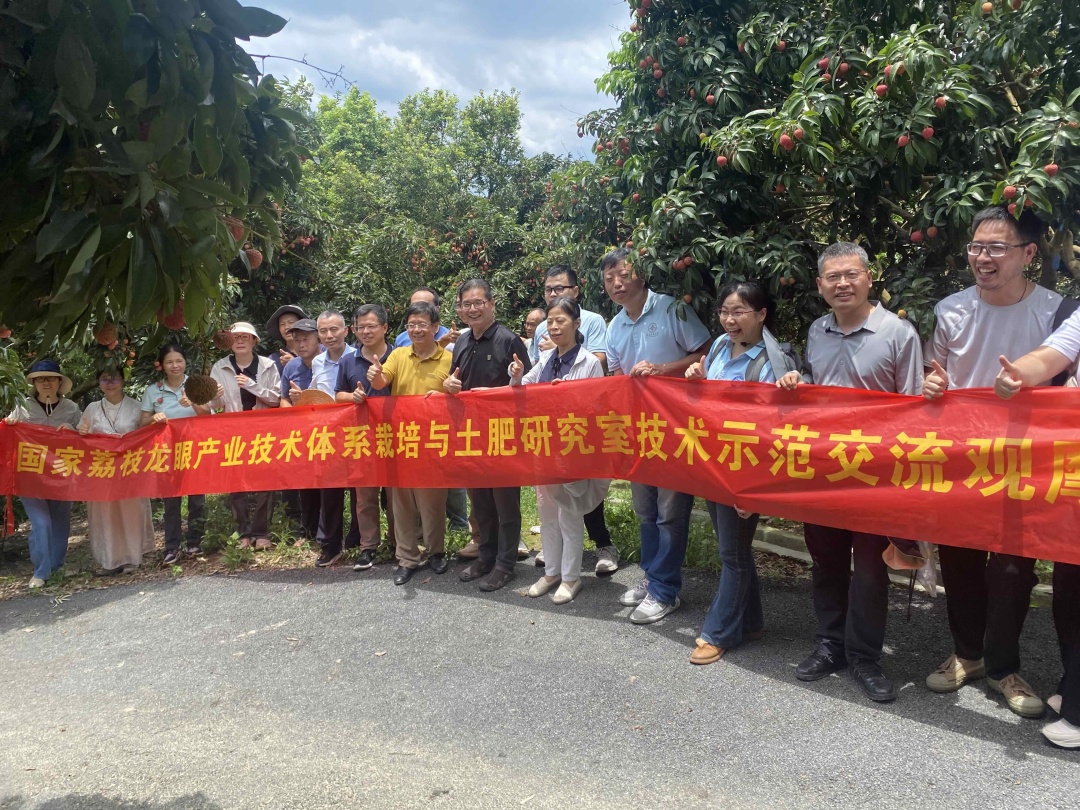 2d82c074102ea20cbfa8c72a3a317de7