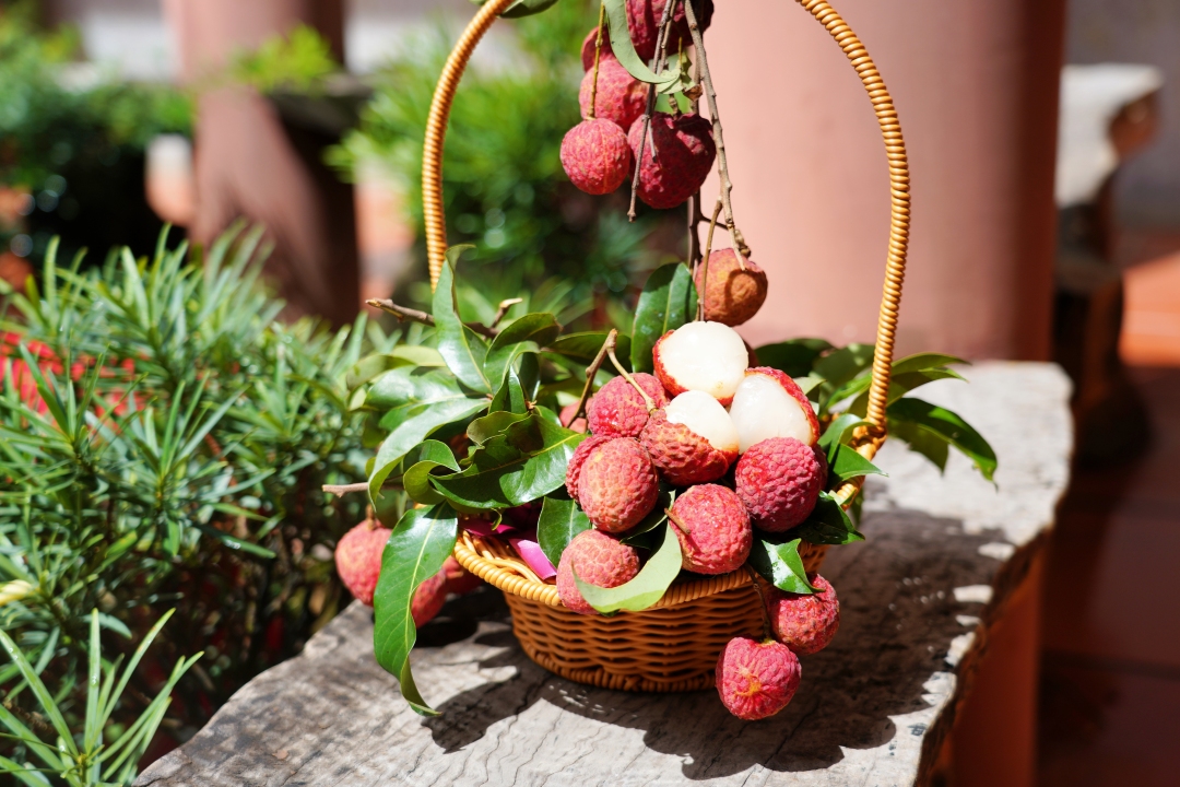 ff50e8a09eb1015f6703ee608b3a728b_.jpg ff50e8a09eb1015f6703ee608b3a728b_.jpg