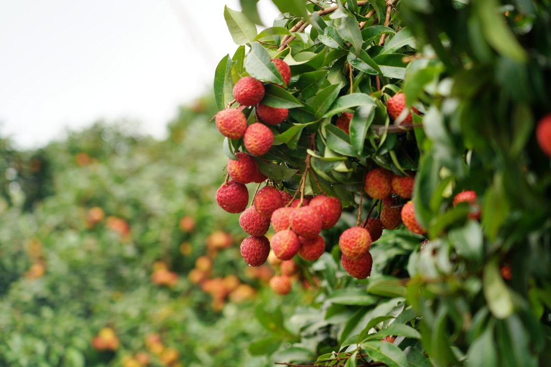 510440af358852b9c8484732e4e2ad0.jpg 510440af358852b9c8484732e4e2ad0.jpg