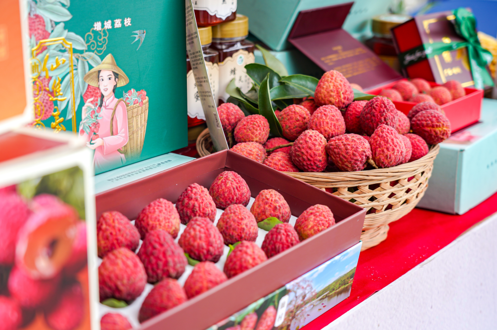 3133900cd72434201c6908f0e1546aa.png 3133900cd72434201c6908f0e1546aa.png