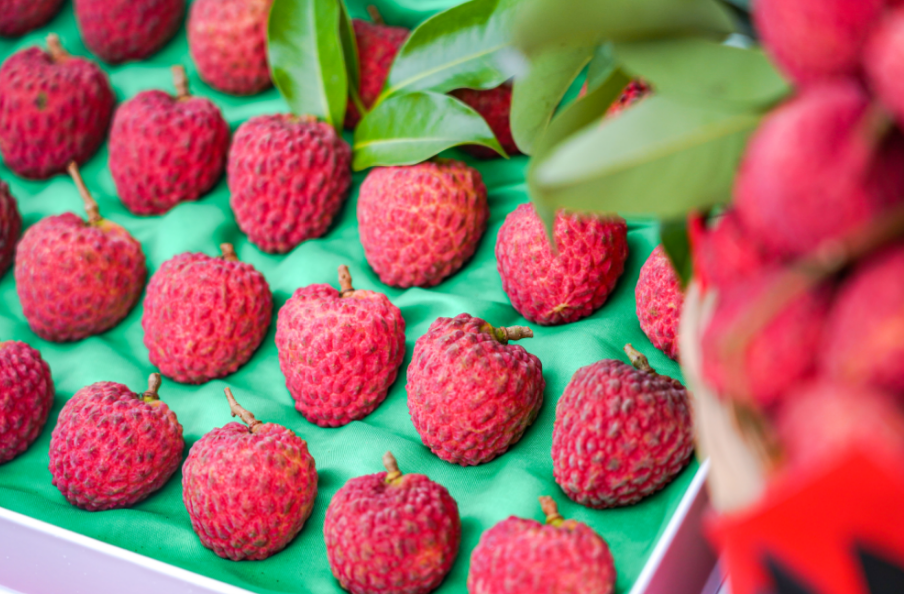 d1481f05a8285e82d1952ea1848ecf6.png d1481f05a8285e82d1952ea1848ecf6.png