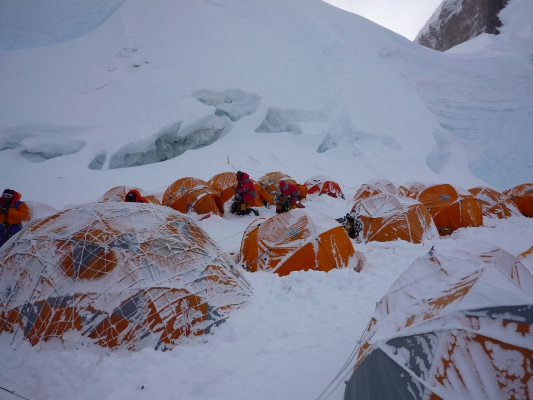 aa327d9c0pbc0aeea4477f81de69f7c8